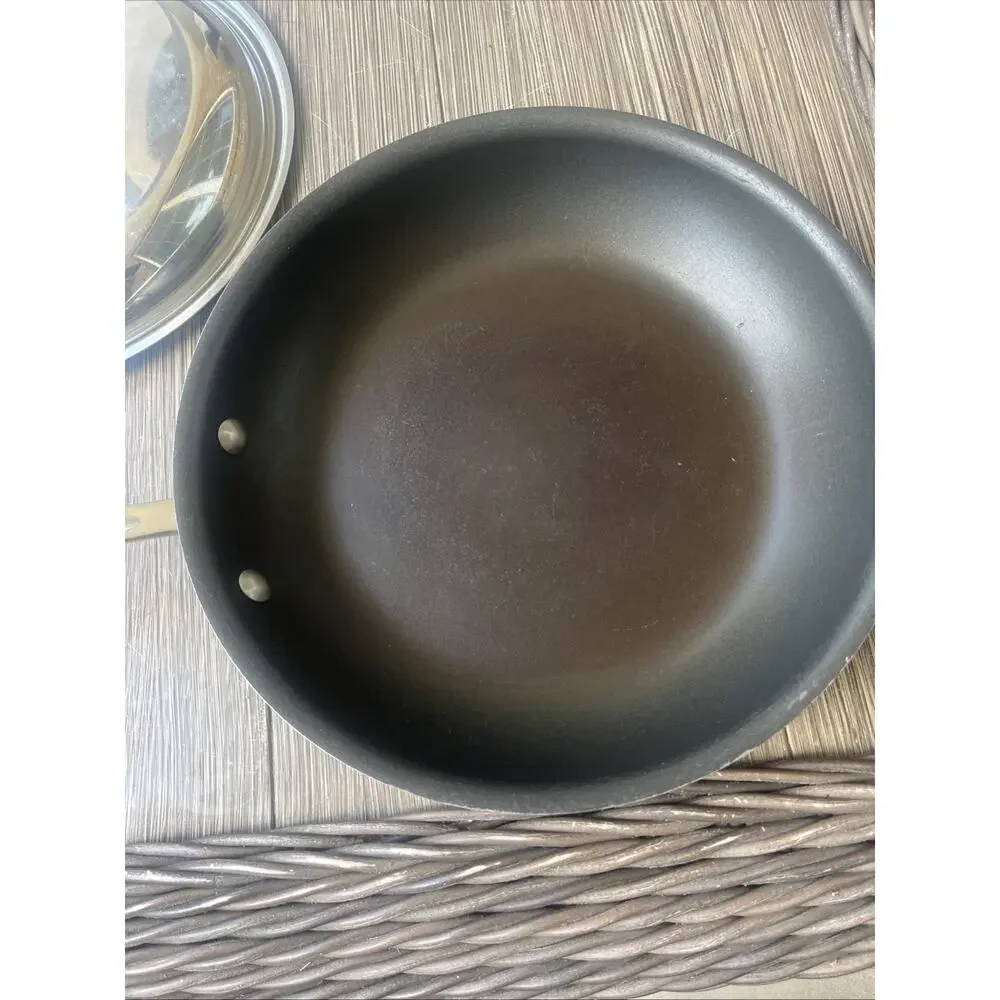 All-Clad Stainless Steel 10
